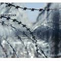 Razor Barbed Wire Galvanized Concertina Razor Wire